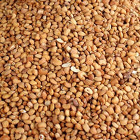 Brown Beans or Olotu